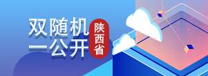 雙隨機一公開(陜西省)