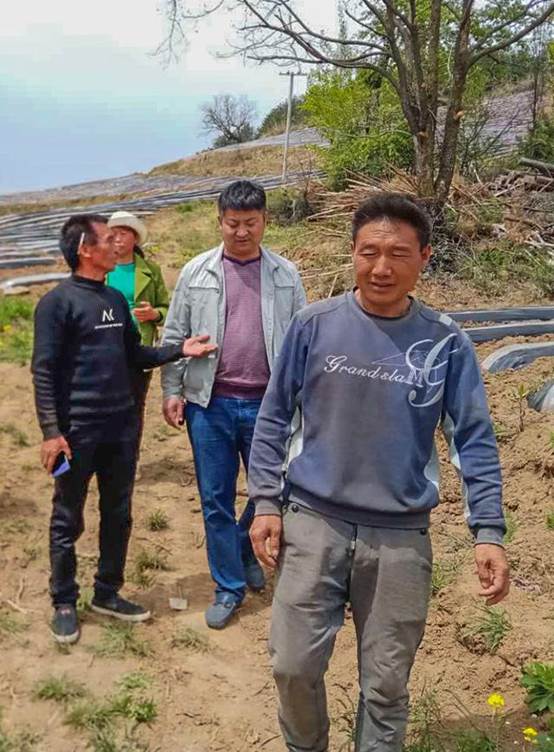 貧困戶投資20萬承包550畝山地,開荒三個月沒下山,終于年入60萬