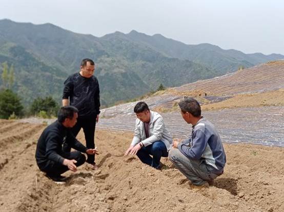 貧困戶投資20萬承包550畝山地,開荒三個月沒下山,終于年入60萬