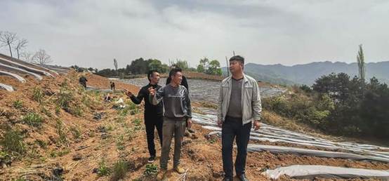 貧困戶投資20萬承包550畝山地,開荒三個月沒下山,終于年入60萬