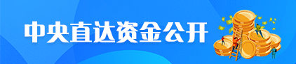 中央直達資金公開