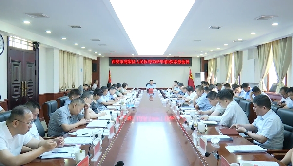 高陵區(qū)召開區(qū)政府2025年第9次常務(wù)會(huì)議
