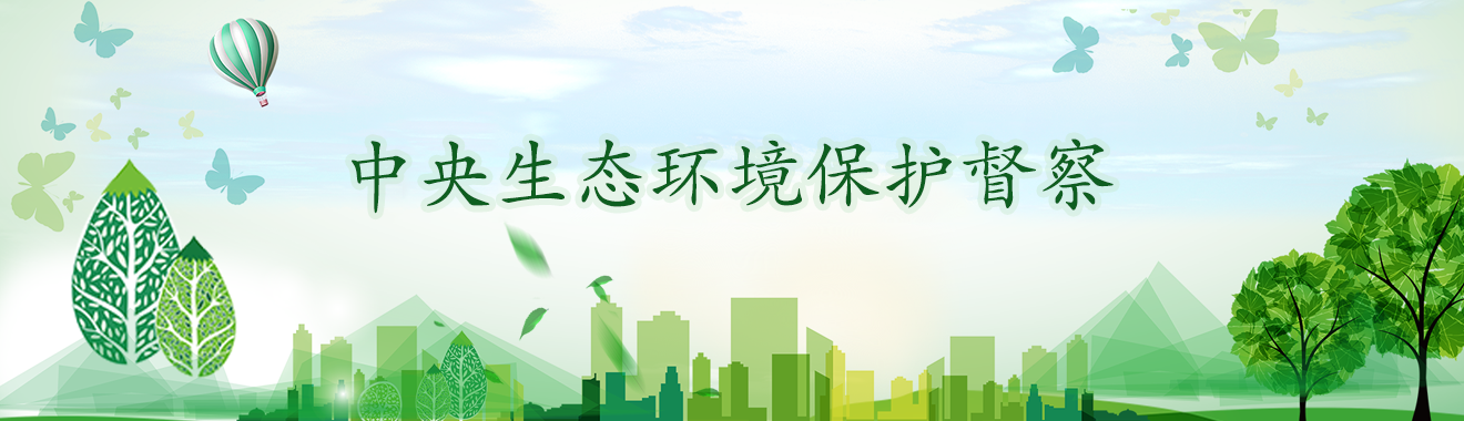 中央生態環境保護督察