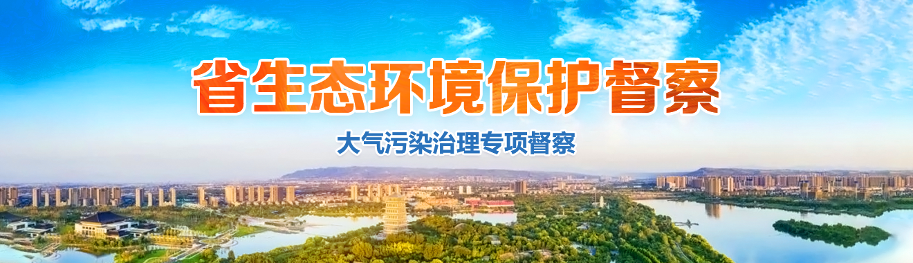 省生態(tài)環(huán)保督察（大氣污染治理專項(xiàng)督察）