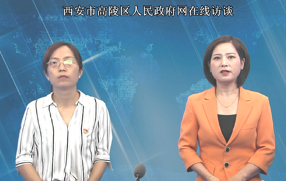 高陵區政務服務“高效辦成一件事”政策解讀訪談